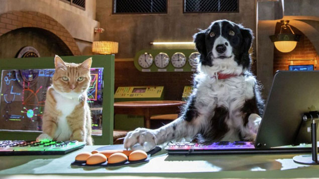Cats & Dogs 3: Paws Unite! (2021) [Blu-Ray/DVD/Digital] – Cinema Crazed